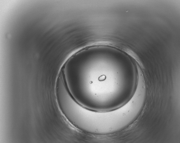 X0000067491436200604150030