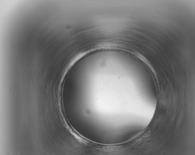 X0000067491437200604150030