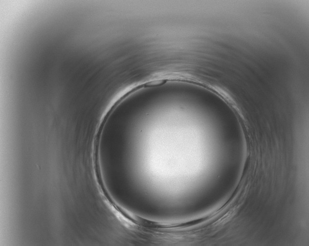 X0000067491438200604150030