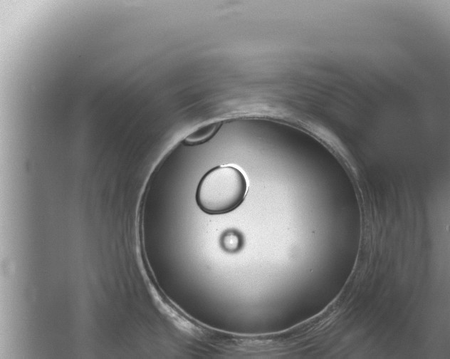 X0000067491439200604150030