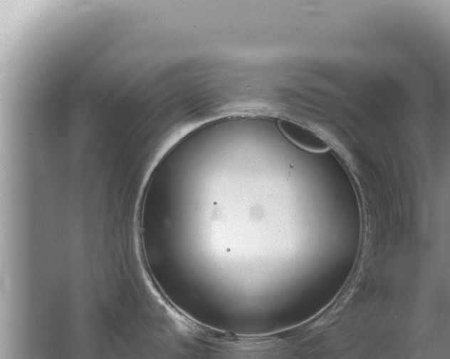 X0000067491440200604150030