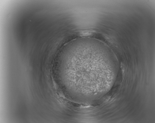 X0000067491441200604150030