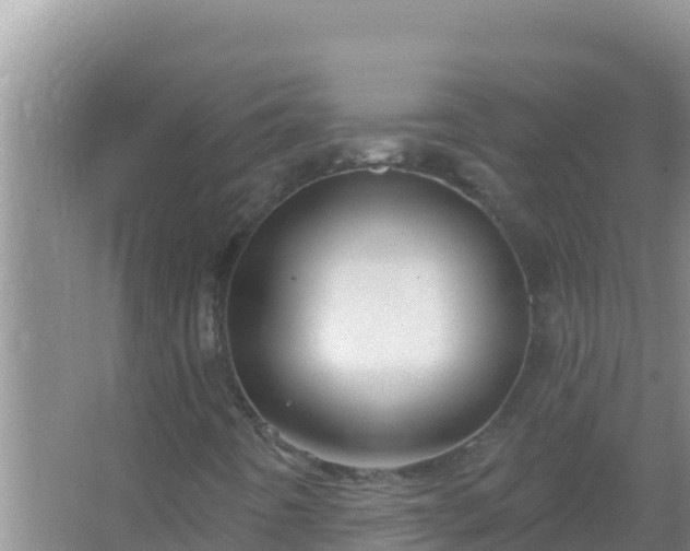 X0000067491442200604150030