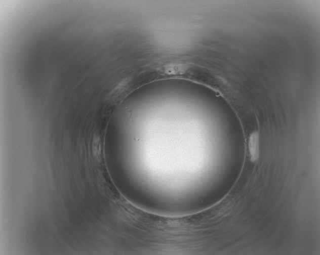 X0000067491443200604150030