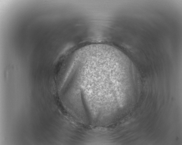 X0000067491446200604150029