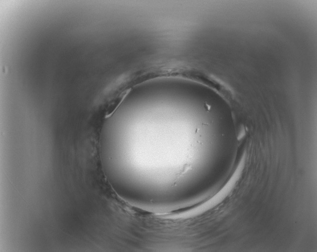 X0000067491447200604150029