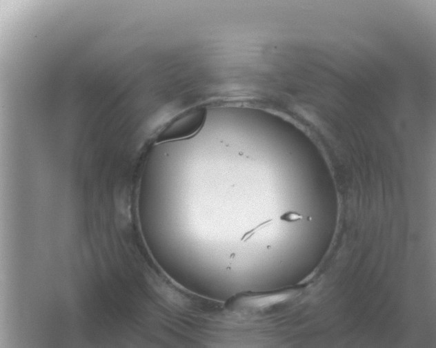 X0000067491451200604150029