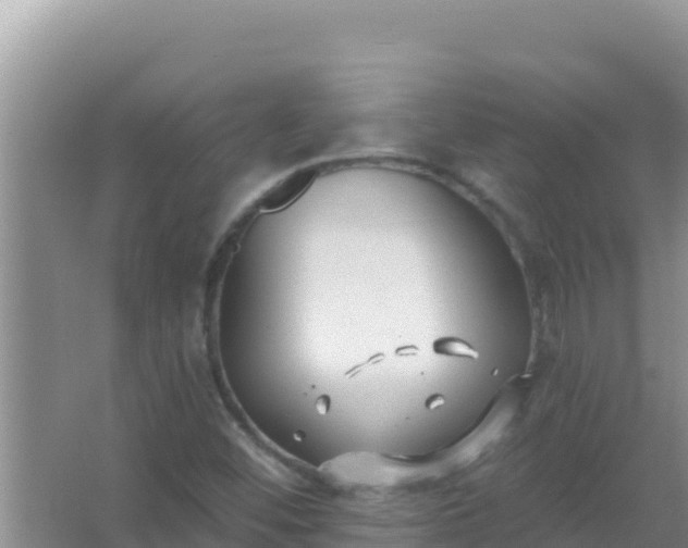 X0000067491452200604150029