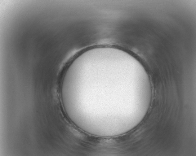 X0000067491454200604150029