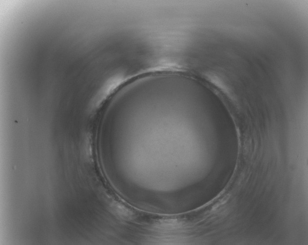 X0000067491455200604150029