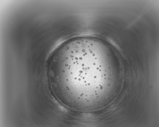 X0000067491456200604150029