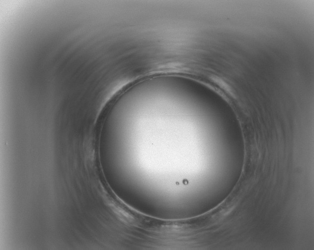 X0000067491458200604150029