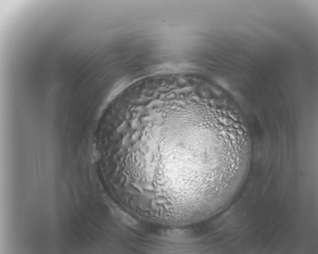 X0000067491459200604150029