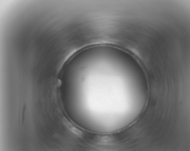 X0000067491460200604150029