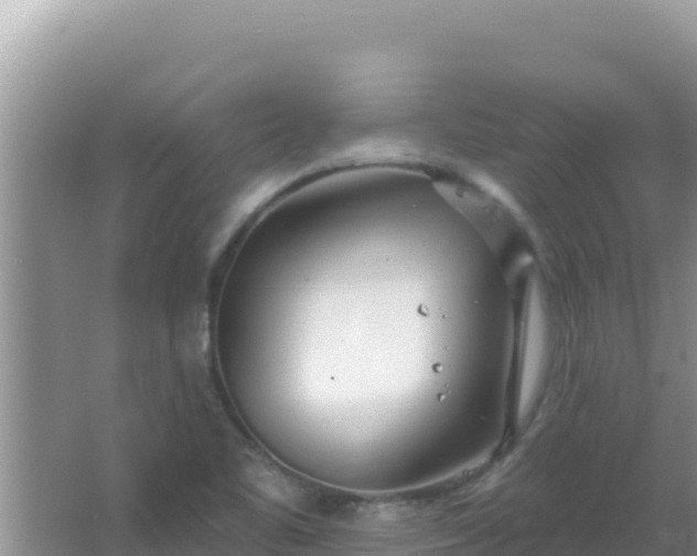 X0000067491461200604150029