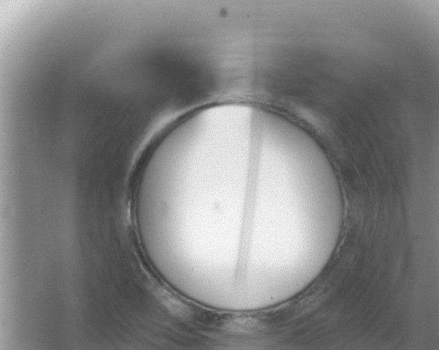 X0000067491462200604150029