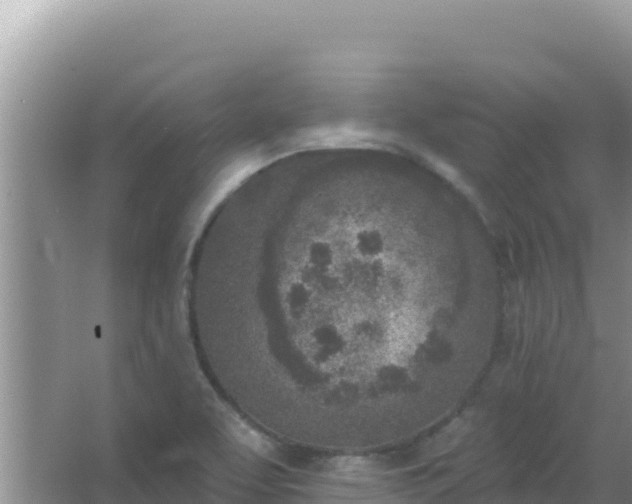 X0000067491463200604150029