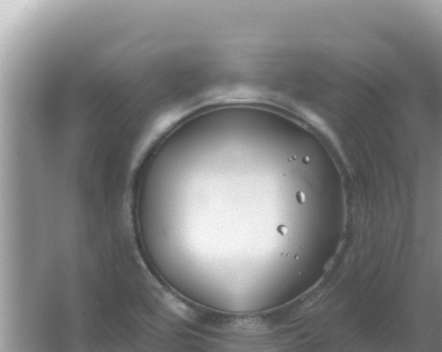 X0000067491464200604150029