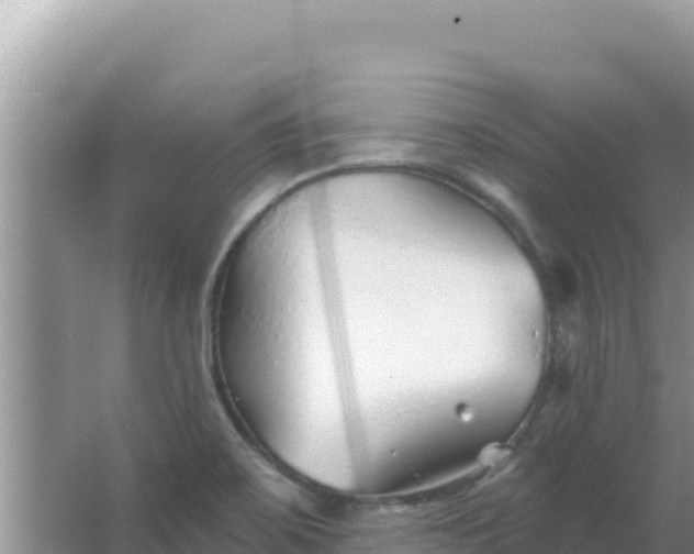 X0000067491467200604150029