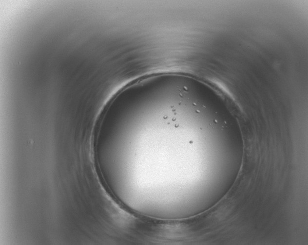 X0000067491468200604150029