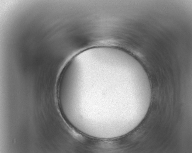 X0000067491470200604150029