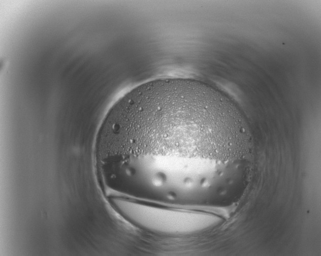 X0000067491471200604150029