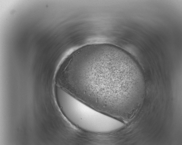 X0000067491472200604150029