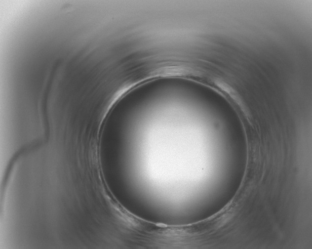 X0000067491473200604150029