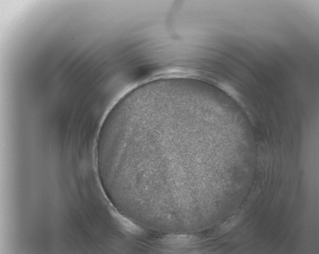 X0000067491474200604150029