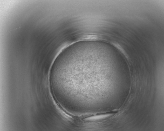 X0000067491475200604150029