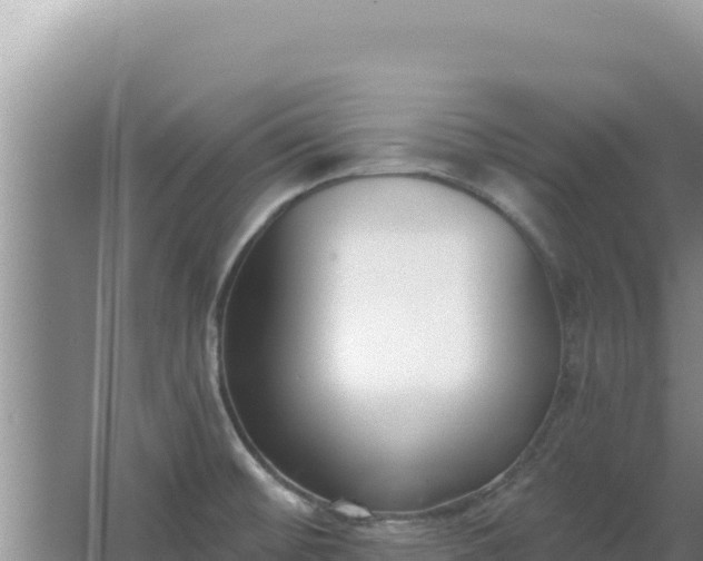 X0000067491476200604150029