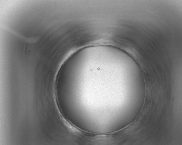 X0000067491478200604150029