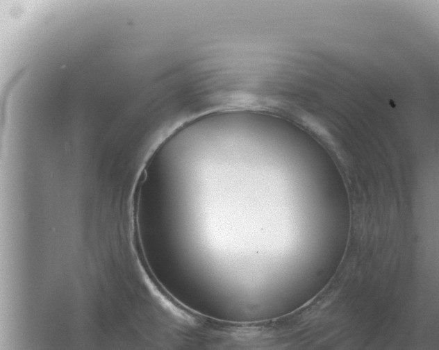 X0000067491479200604150029