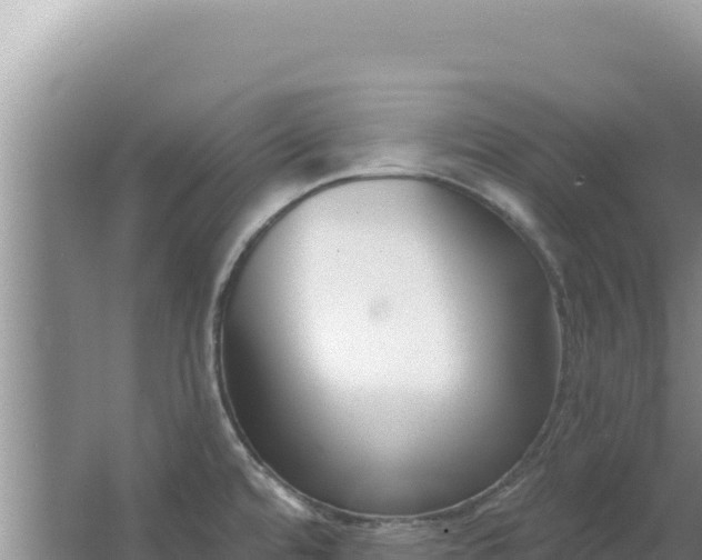 X0000067491480200604150029