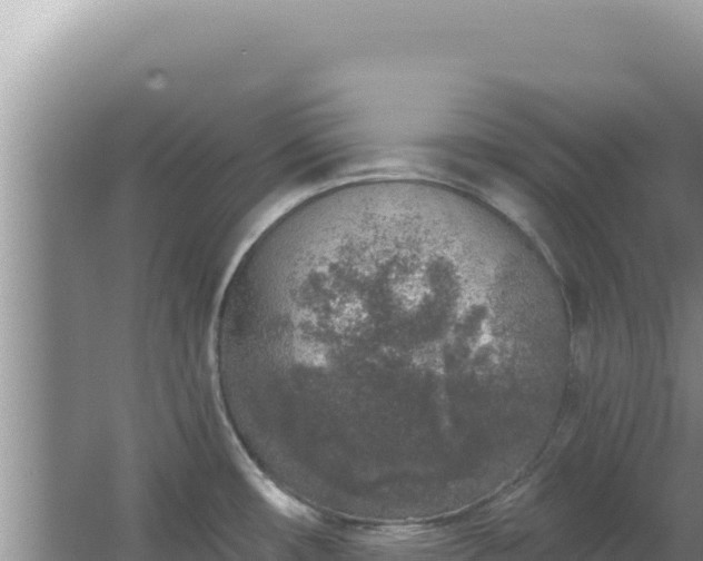 X0000067491482200604150029