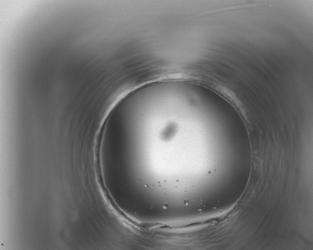 X0000067491483200604150029