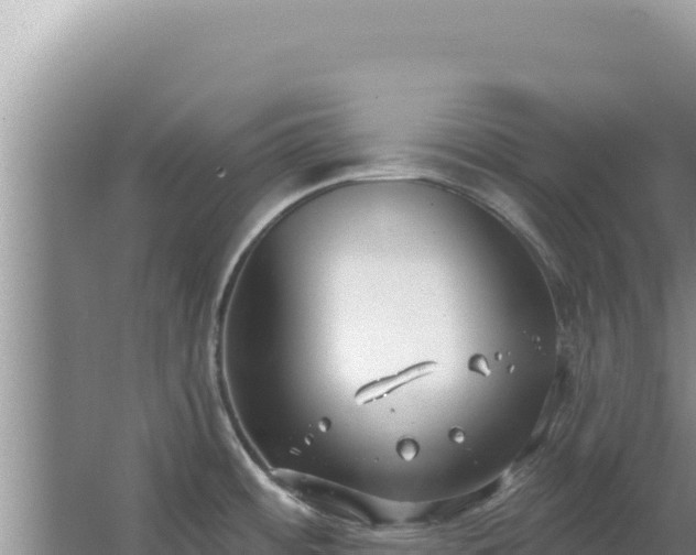 X0000067491484200604150029