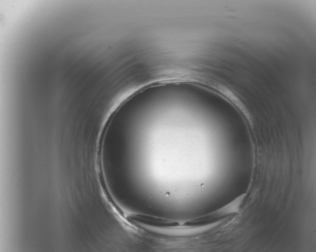 X0000067491485200604150029