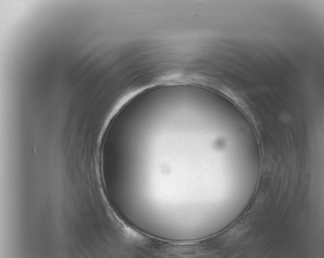 X0000067491486200604150029