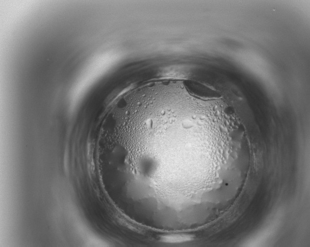 X0000067491487200604150029