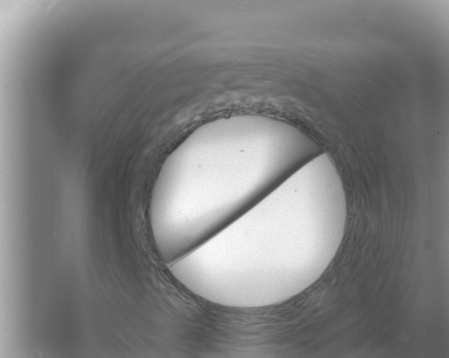 X0000067491489200604150028