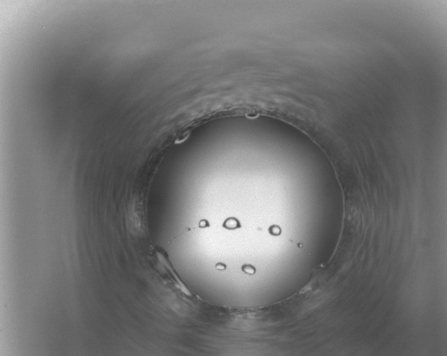 X0000067491490200604150028