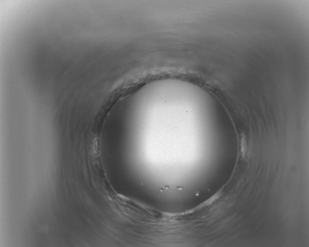 X0000067491492200604150028