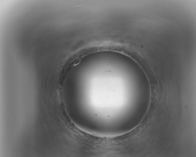 X0000067491493200604150028