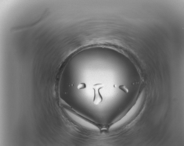 X0000067491497200604150028