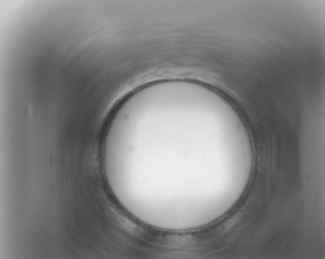 X0000067491498200604150028