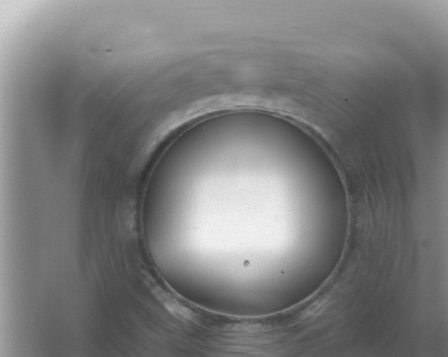 X0000067491499200604150028