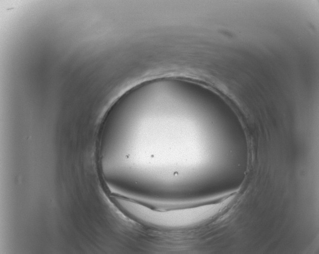 X0000067491500200604150028