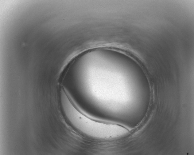 X0000067491501200604150028