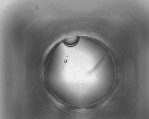 X0000067491502200604150028